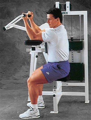 Cybex Classic Bicep Curl