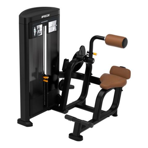 PRECOR Resolute™ Back Extension