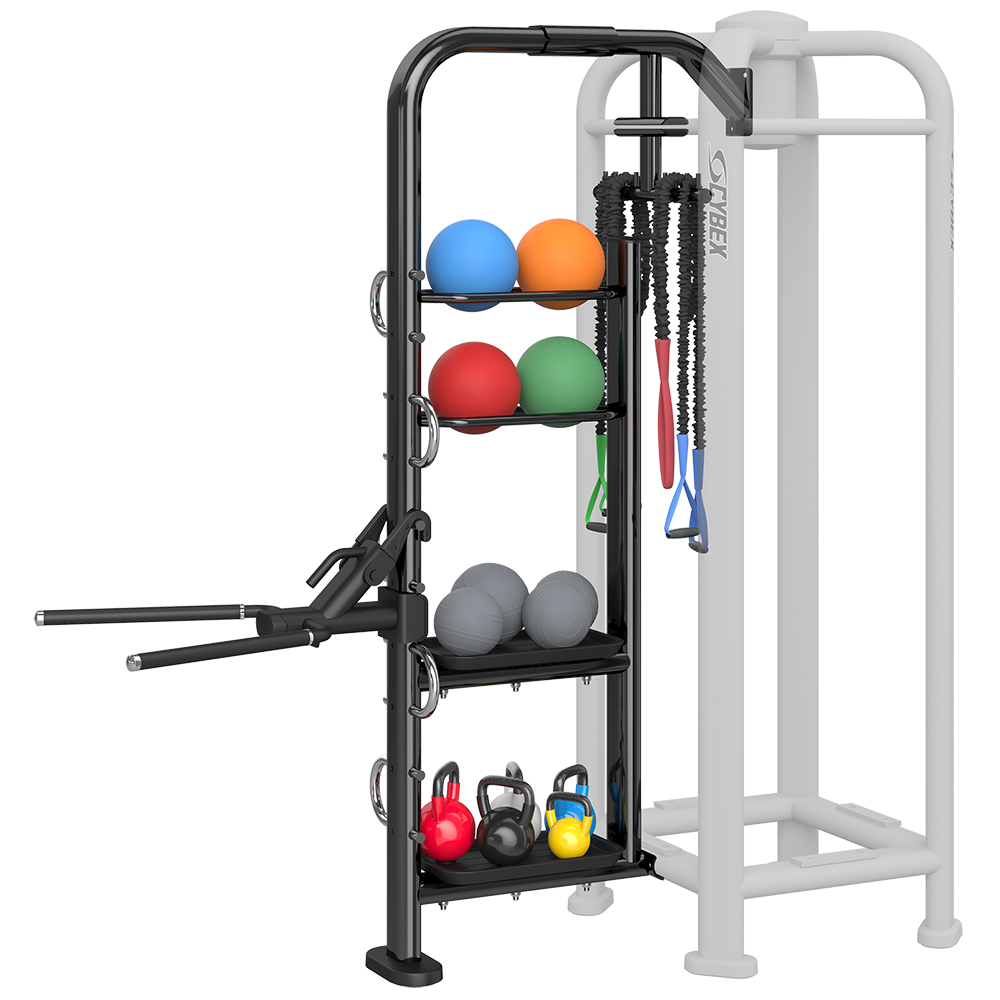 Cybex DIP