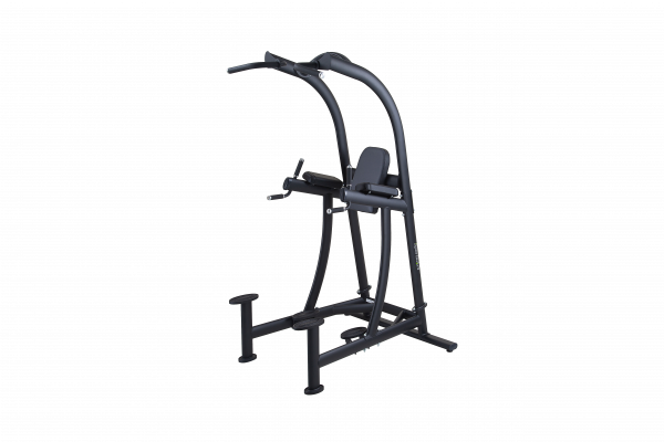 SPORTS ART A994 VKR CHIN DIP STATION