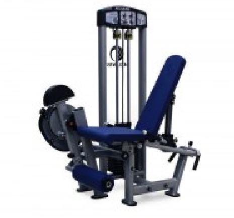 Duals - Leg Extension / Leg Curl Combo