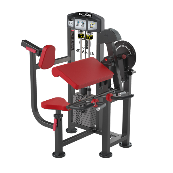 Duals - Biceps-Triceps Combo