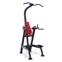 CHIN AND DIP (CHIN OPTIONAL) / 1SC211