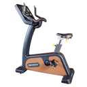 SPORTS ART C576U UPRIGHT CYCLE