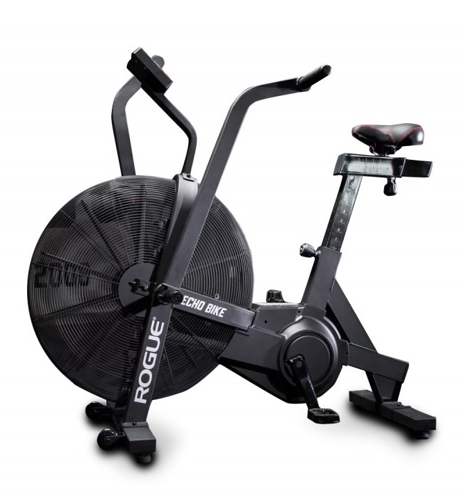 ROGUE ECHO BIKE