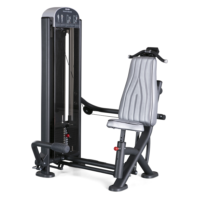 TRICEPS MACHINE / 1FE053