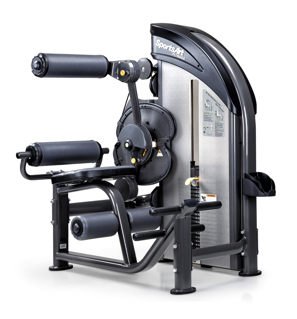 SPORTA ART DF206 BACK EXTENSION/AB CRUNCH