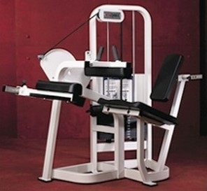 Cybex VR2 Seated Leg Curl