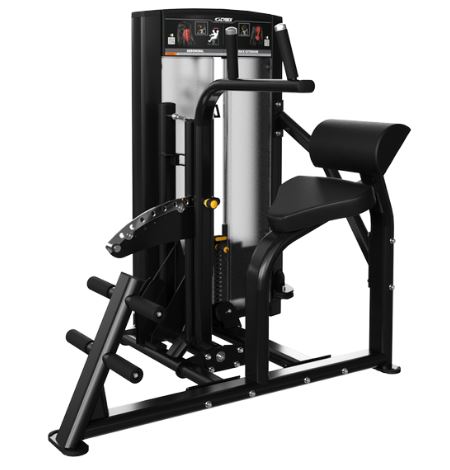 ION SERIES ABDOMINAL / BACK EXTENSION