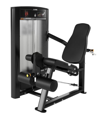 ION SERIES LEG EXTENSION