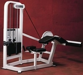 Cybex VR2 Prone Leg Curl