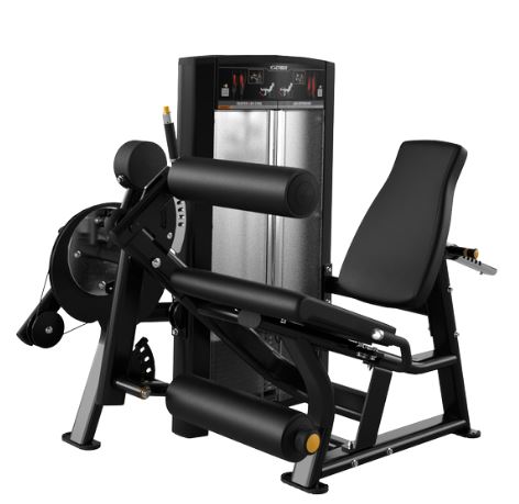 ION SERIES SEATED LEG CURL / EXTENSION