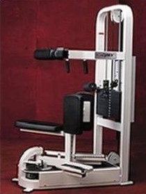 Cybex VR2 Torso Rotation