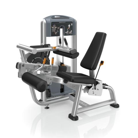Seated Leg Curl  (DSL0619)