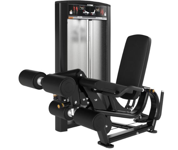 ION SERIES LEG CURL / EXTENSION