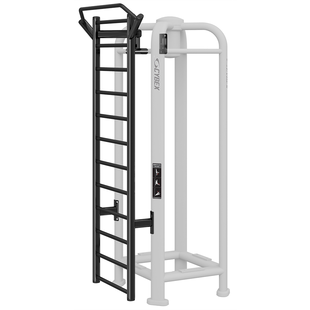 STALL BARS W/ SUSPENSION TRAINING