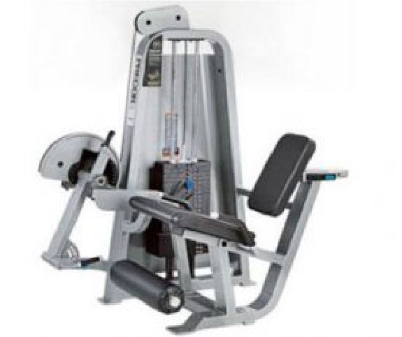 Icarian Series - Leg extension 605