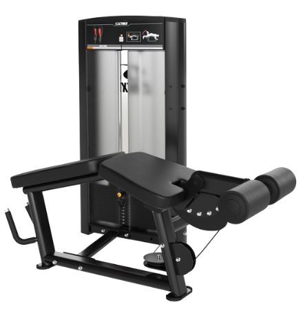 ION SERIES LEG CURL