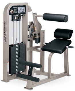 Life Fitness Pro2 SE Back Extension