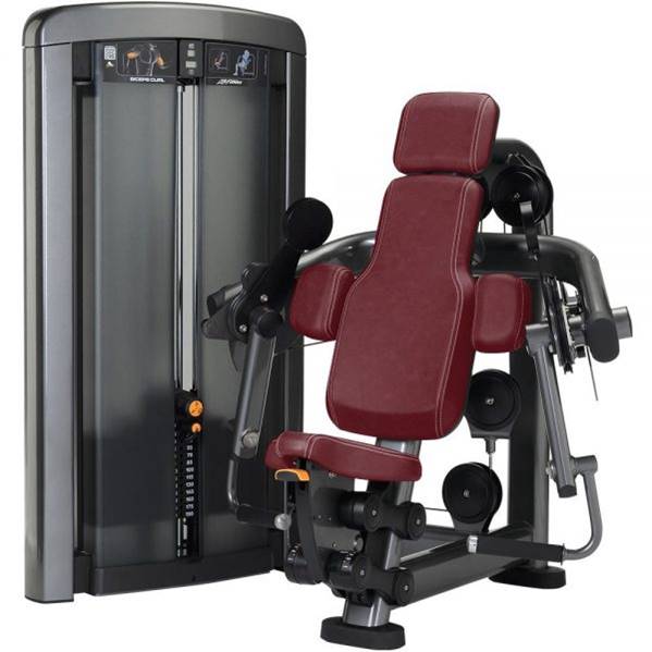 LIFE FTNESS INSIGNIA SERIES LATERAL RAISE