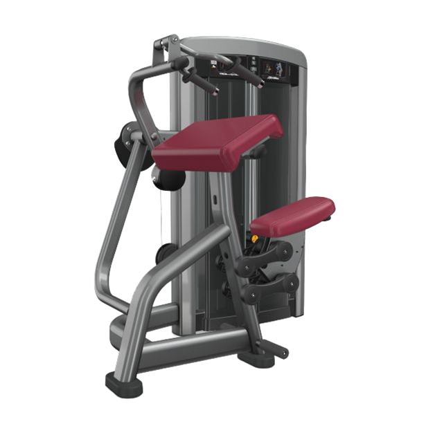 LIFE FTNESS INSIGNIA SERIES TRICEPS EXTENSION