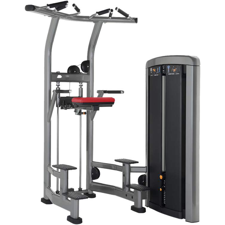 LIFE FTNESS INSIGNIA SERIES ASSIST DIP CHIN