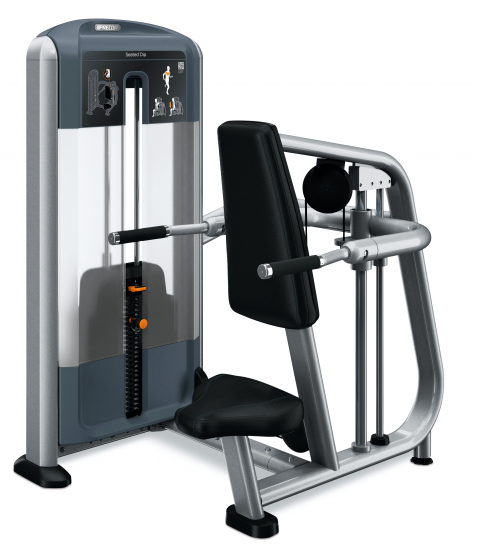 Seated Dip  (DSL0215)