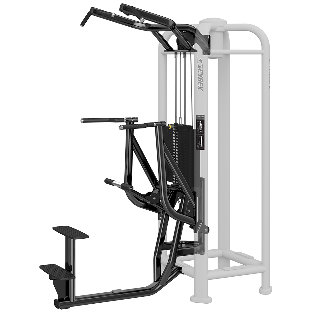 Cybex DIP/CHIN ASSIST