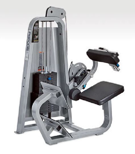 Icarian Series -  Back Extension