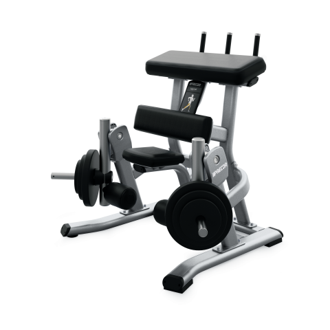 Leg Curl  (DPL0561)