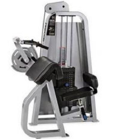 Icarian Series - Triceps extension 208