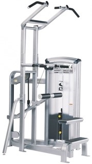 Cybex VR3 Dip/Chin Assist