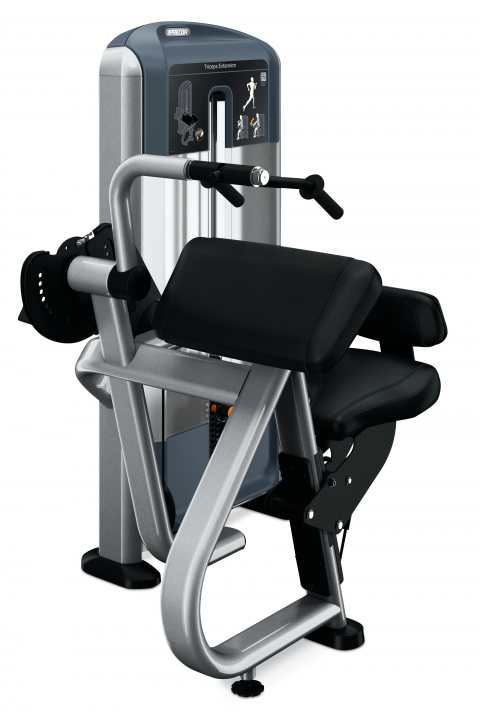 Triceps Extension (DSL0208)