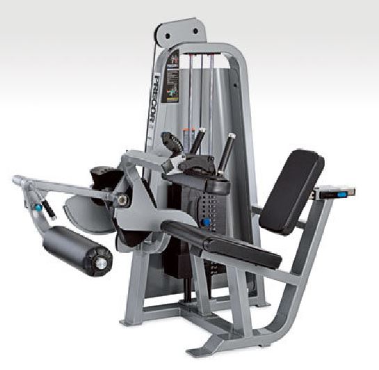 Icarian Series - Seated Leg Curl