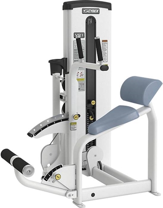 Cybex VR1 Dual Abdominal/Back Extension