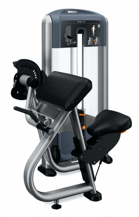 Biceps Curl (DSL0204)