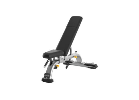 PRECOR Multi-Adjustable Bench DBR0119