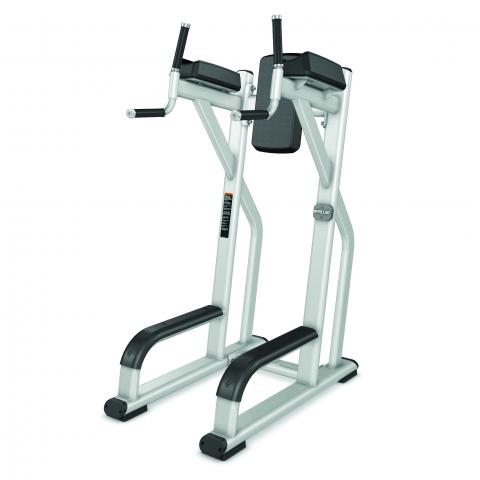 PRECOR Vertical Knee Up