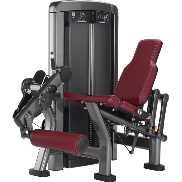 LIFE FTNESS INSIGNIA SERIES LEG EXTENSION