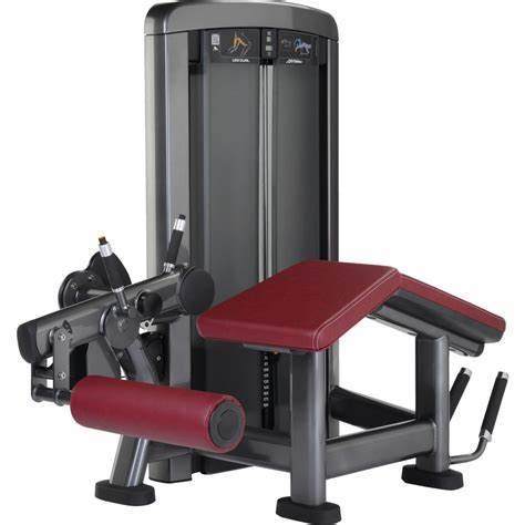 LIFE FTNESS INSIGNIA SERIES LEG CURL