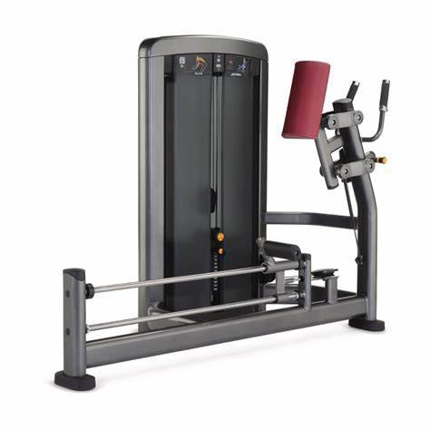 LIFE FTNESS INSIGNIA SERIES GLUTE