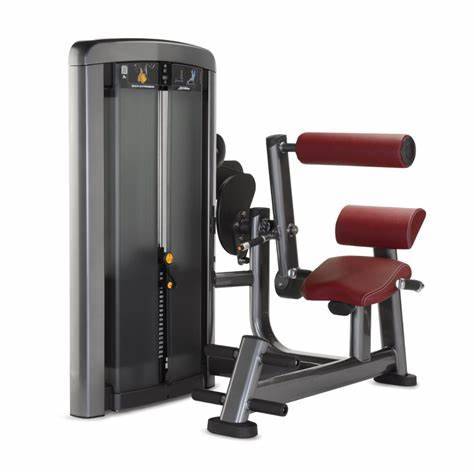 PRECOR INSIGNIA SERIES BACK EXTENSION