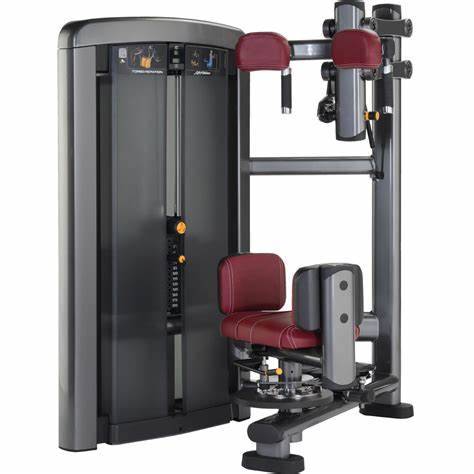 PRECOR INSIGNIA SERIES Torso Rotation