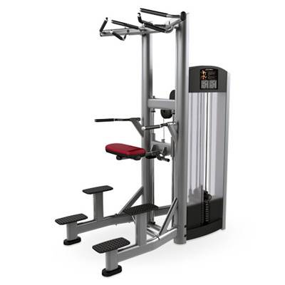 LIFE FITNESS SIGNATURE SERIES Assist Dip Chin