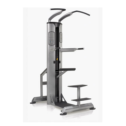 FREE MOTION OLD EPIC - Assisted DIP Chin (SZ16)