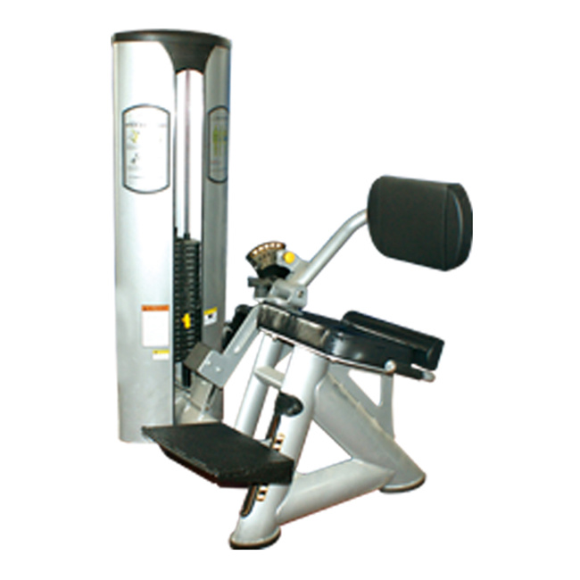 FREE MOTION OLD EPIC - Back Extension (SZ09)
