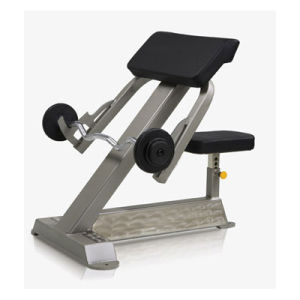 FREE MOTION OLD EPIC - Preacher Curl with 3mm Steel Tube (SZ32)