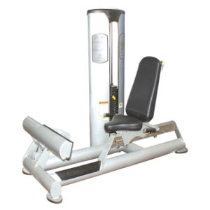 FREE MOTION OLD EPIC - Rotary Calf (SZ04)