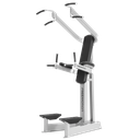 FREE MOTION DIP CHIN/AB