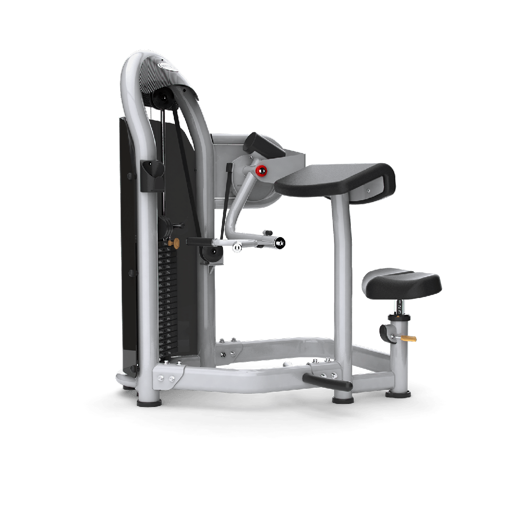 MATRIX Aura Arm Curl